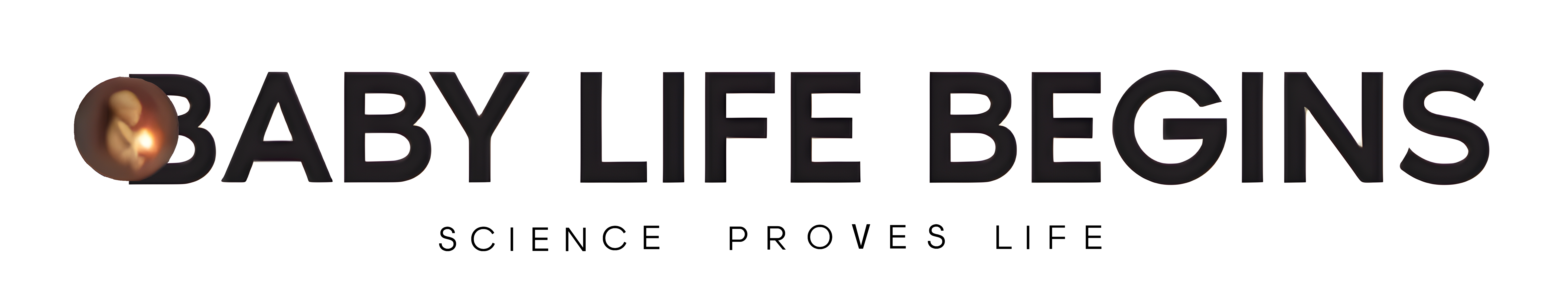 Baby Life Begins Banner